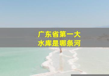 广东省第一大水库是哪条河