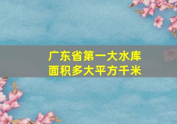 广东省第一大水库面积多大平方千米