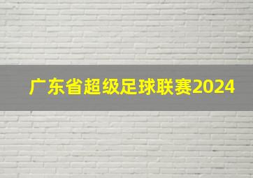 广东省超级足球联赛2024