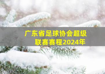 广东省足球协会超级联赛赛程2024年