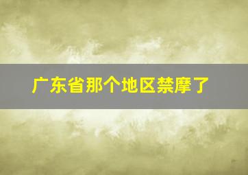 广东省那个地区禁摩了