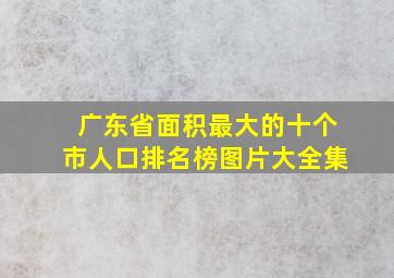 广东省面积最大的十个市人口排名榜图片大全集