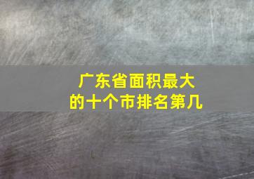 广东省面积最大的十个市排名第几