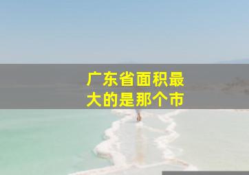 广东省面积最大的是那个市