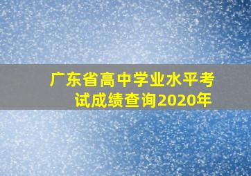 广东省高中学业水平考试成绩查询2020年