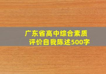 广东省高中综合素质评价自我陈述500字