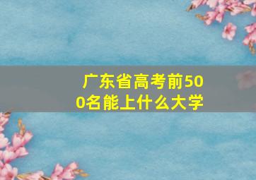 广东省高考前500名能上什么大学