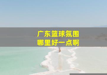 广东篮球氛围哪里好一点啊