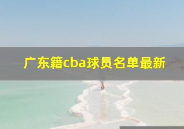 广东籍cba球员名单最新