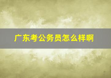 广东考公务员怎么样啊