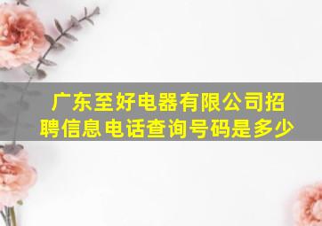 广东至好电器有限公司招聘信息电话查询号码是多少