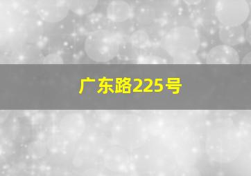 广东路225号