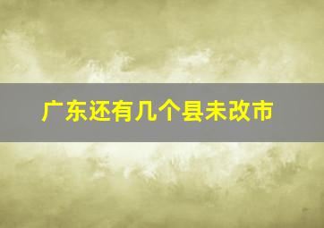 广东还有几个县未改市