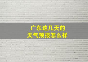 广东这几天的天气预报怎么样