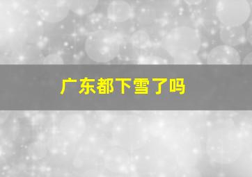 广东都下雪了吗