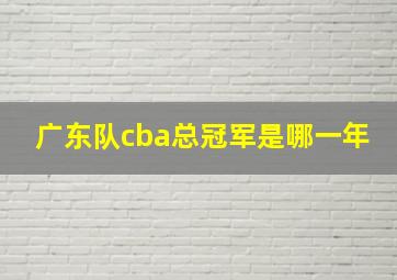 广东队cba总冠军是哪一年