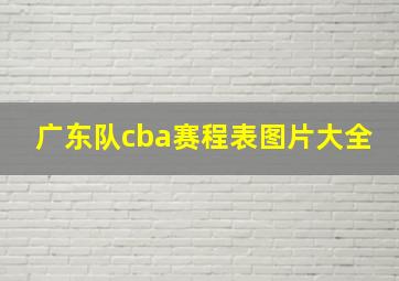 广东队cba赛程表图片大全