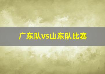 广东队vs山东队比赛