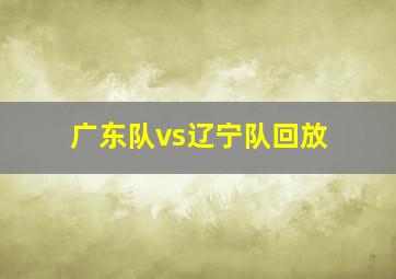 广东队vs辽宁队回放