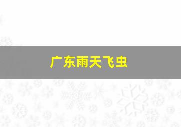 广东雨天飞虫