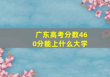 广东高考分数460分能上什么大学