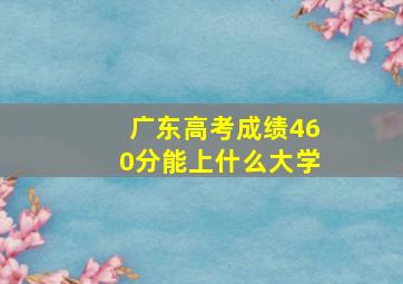 广东高考成绩460分能上什么大学