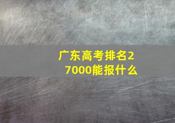 广东高考排名27000能报什么