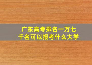 广东高考排名一万七千名可以报考什么大学