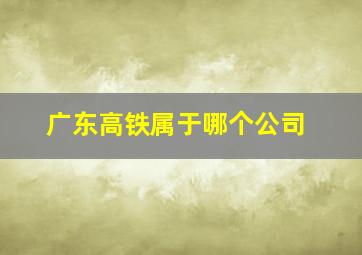 广东高铁属于哪个公司