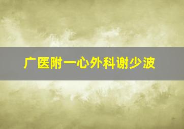 广医附一心外科谢少波