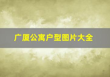 广厦公寓户型图片大全