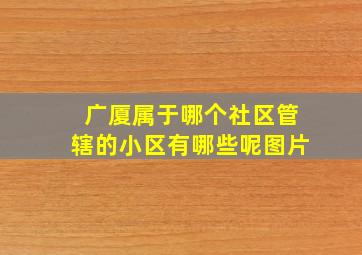 广厦属于哪个社区管辖的小区有哪些呢图片