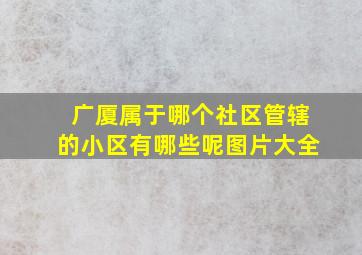 广厦属于哪个社区管辖的小区有哪些呢图片大全