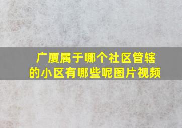 广厦属于哪个社区管辖的小区有哪些呢图片视频