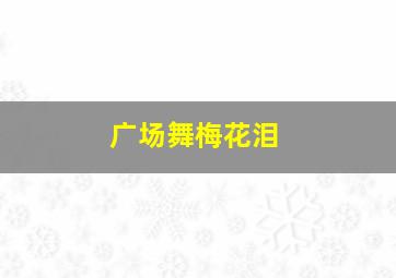 广场舞梅花泪