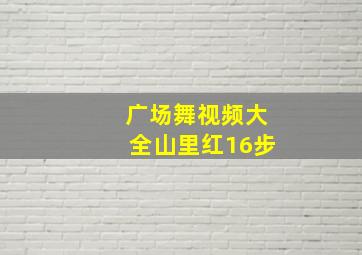 广场舞视频大全山里红16步