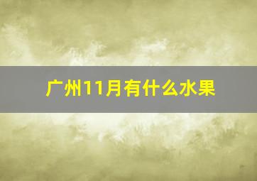 广州11月有什么水果