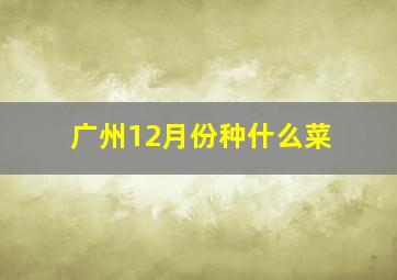 广州12月份种什么菜