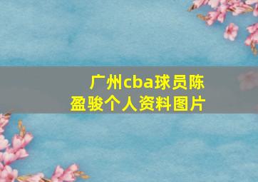 广州cba球员陈盈骏个人资料图片