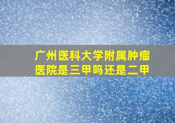 广州医科大学附属肿瘤医院是三甲吗还是二甲