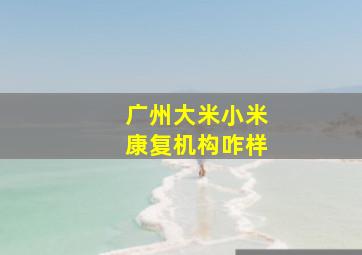 广州大米小米康复机构咋样