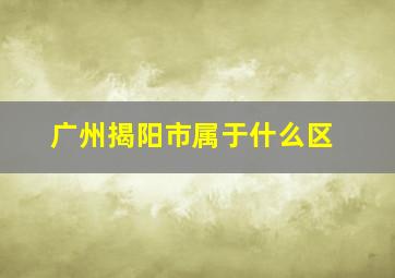 广州揭阳市属于什么区