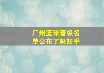 广州篮球晋级名单公布了吗知乎