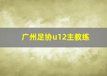 广州足协u12主教练