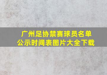 广州足协禁赛球员名单公示时间表图片大全下载