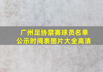 广州足协禁赛球员名单公示时间表图片大全高清