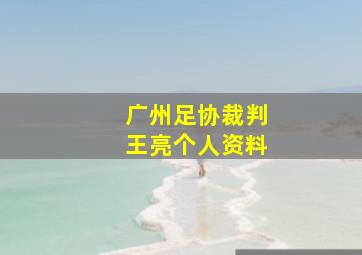 广州足协裁判王亮个人资料