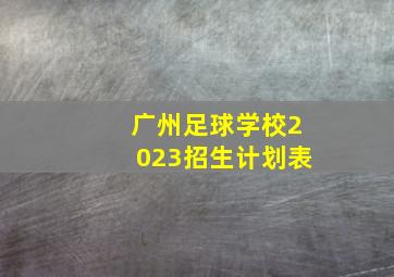 广州足球学校2023招生计划表