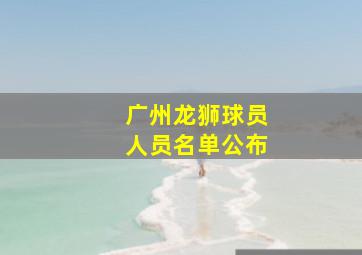 广州龙狮球员人员名单公布