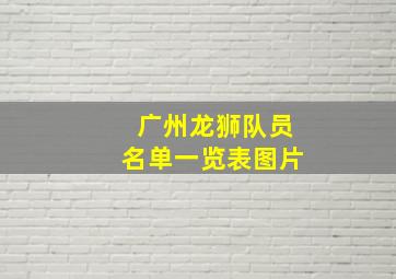 广州龙狮队员名单一览表图片